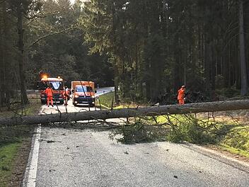 Ein umgefallener Baum versperrte gestern die Kreisstraße zwischen Burgkunstadt und Kirchlein.  Foto: Landratsamt Lichtenfels/Heiko Tremel