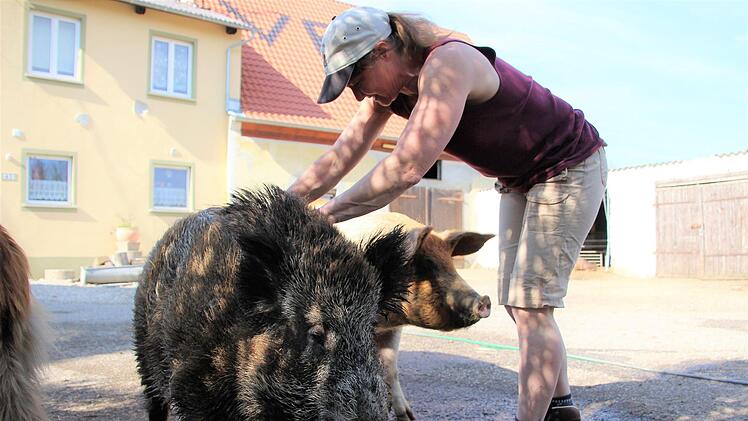 Rosalie liebt Streicheleinheiten. Das Wildschwein scheint regelrecht zu grinsen, wenn Valeska Roos es krault. Diana Fuchs