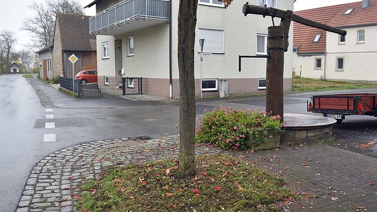 Birgit Zehe hatte vor der Bürgerversammlung in Augsfeld den Zustand des Beetes in der Lindenhainstraße kritisiert. Nun wird sich der Verschönerungsverein mit dem Thema befassen.Langer