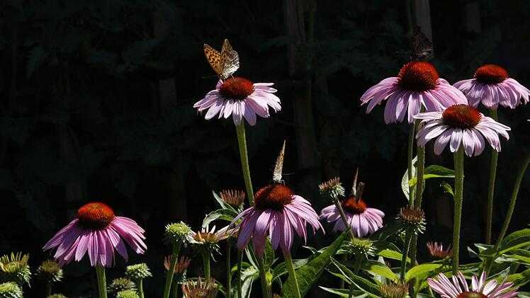 Wellucken, das ist Natur pur.
