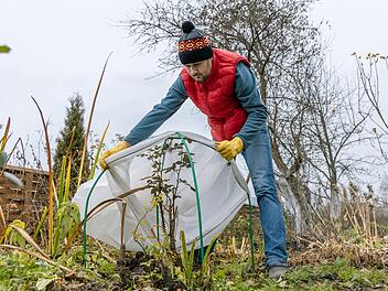 Winterschutz für Garten, Winterschutz für Gartenpflanzen, Schutz für Rhododendren