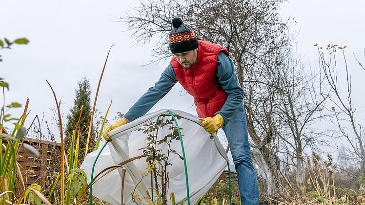 Winterschutz für Garten, Winterschutz für Gartenpflanzen, Schutz für Rhododendren
