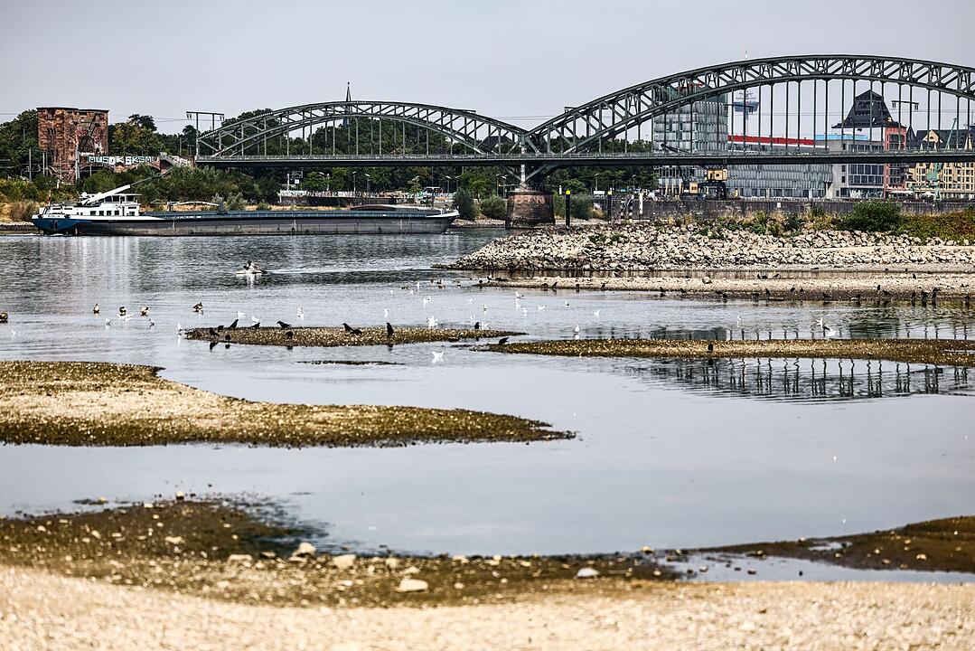 Niedrigwasser am Rhein in K&ouml;ln