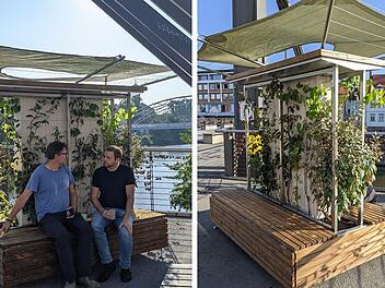 Bamberg: Begr&uuml;nungs-Programm startet ab Oktober - Subventionen bei privaten Ma&szlig;nahmen