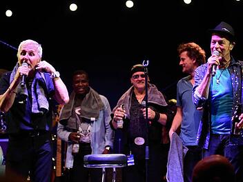 Kultband aus Österreich: Die Erste Allgemeine Verunsicherung mit Frontman Klaus Eberhartinger (links) lässt ihr Konzert im Schönen Hof der Plassenburg mit einem Kulmbacher Bier ausklingen.  Foto: Stephan Herbert Fuchs