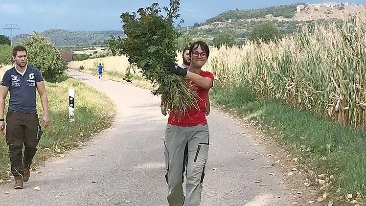 Bereits am Montag waren flei&szlig;ige Sammler vom Reuther Kuckuck in den Fluren unterwegs, um die Kr&auml;uter f&uuml;r die Wurzb&uuml;schel zu sammeln. Fotos: Heidi Amon