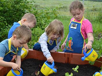 Nach dem Pflanzen wird ordentlich gegossen. Adrian (von links), Jonas, Johanna und Aurelia erledigen das voller Hingabe. Foto: K. Kupka-Hahn