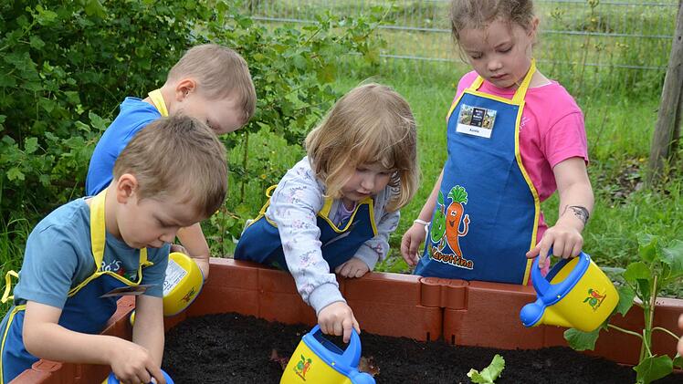 Nach dem Pflanzen wird ordentlich gegossen. Adrian (von links), Jonas, Johanna und Aurelia erledigen das voller Hingabe. Foto: K. Kupka-Hahn