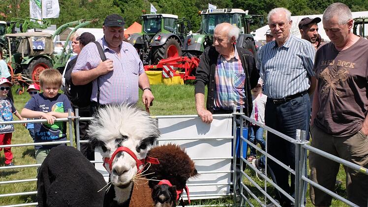Traktortreffen in Bad Bocklet. Foto: Björn Hein