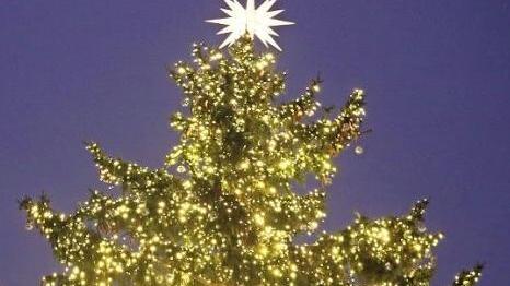 Weihnachtsb&auml;ume wie dieses Exemplar in Berlin geh&ouml;ren seit dem Mittelalter zur europ&auml;ischen Tradition.  Foto: Stephanie Pilick, dpa