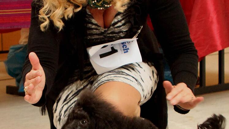 Der ganze Stolz von Gaby Degen aus Worndorf ist ihr "Toy-Pudel", der kleinste Pudel mit dem großen Namen "La Stella from Little Diamonds oft he Paradise". Foto: Günther Geiling