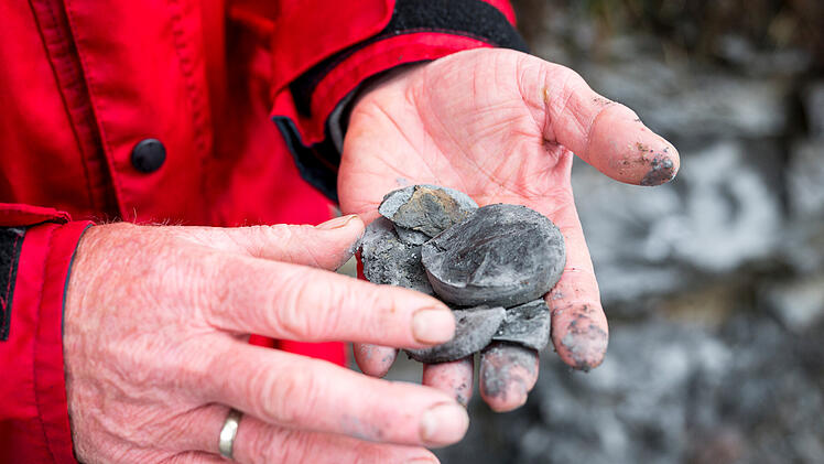 Fund versteinerter Spuren in Ludwigsstadt