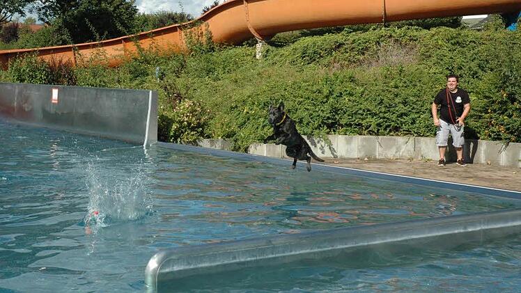 Hundeschwimmen im Märchenbad in Neustadt Foto: Edwin Meißinger