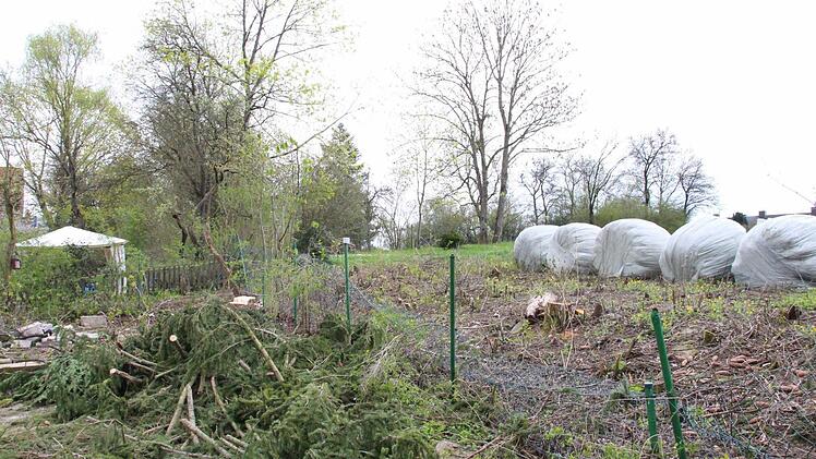 Das Gelände steigt nach Süden hin an. Die Häuser am Judenberg liegen dann tiefer als die möglichen neuen.