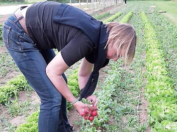 Bei der Ernte der Radieschen auf dem Solawi-Feld Foto: privat