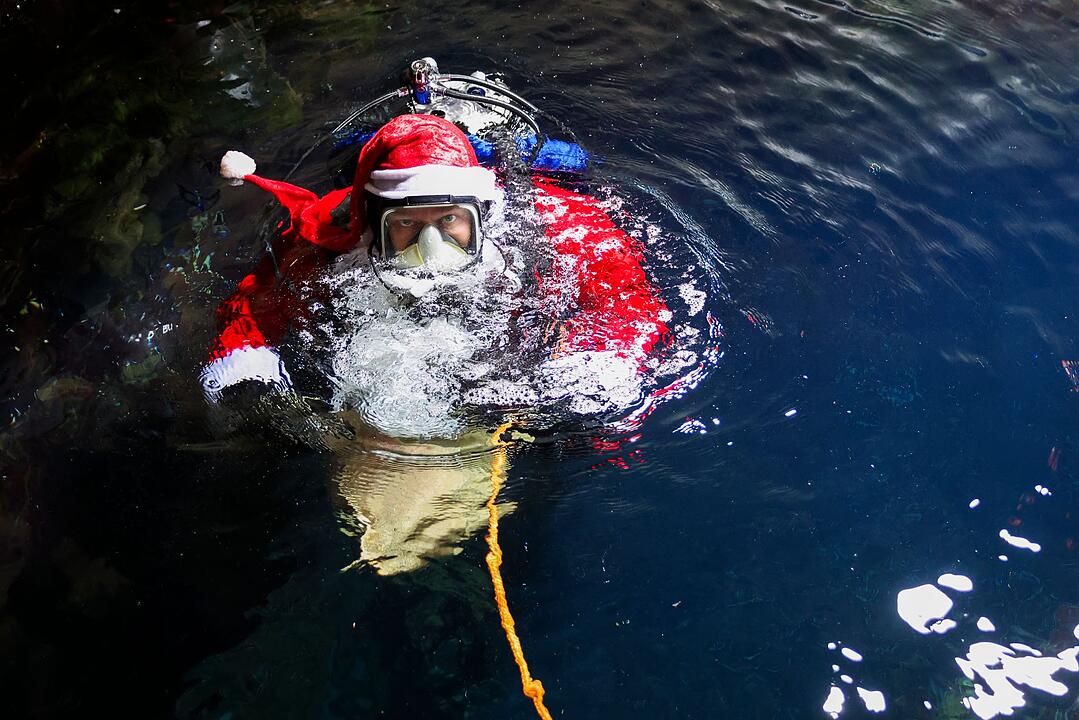 Nikolaus taucht zu den Fischen