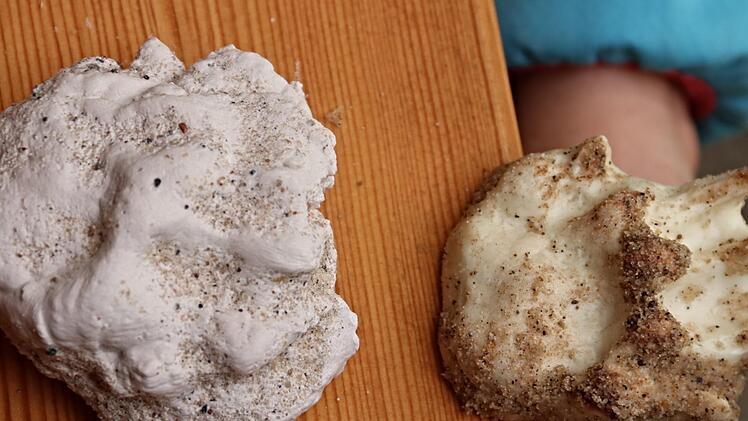 Rechts der Stempel, mit dem die Dachsspur in den Sand gedrückt wurde, links der Gipsabdruck dazu.