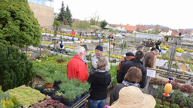 Tag der offenen G&auml;rtnereien in Bamberg Foto: IG Bamberger G&auml;rtner