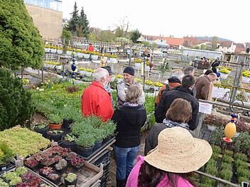 Tag der offenen G&auml;rtnereien in Bamberg Foto: IG Bamberger G&auml;rtner