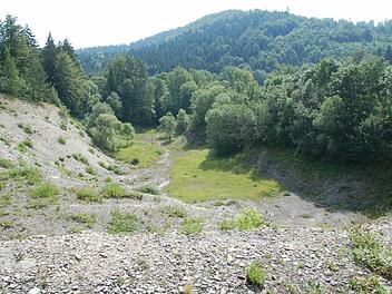 Der aufgelassene Steinbruch bei Taimbach wurde zur Heimat von zahllosen Schmetterlingsarten. Fotos: Rainer Lutz