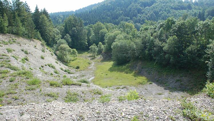 Der aufgelassene Steinbruch bei Taimbach wurde zur Heimat von zahllosen Schmetterlingsarten. Fotos: Rainer Lutz