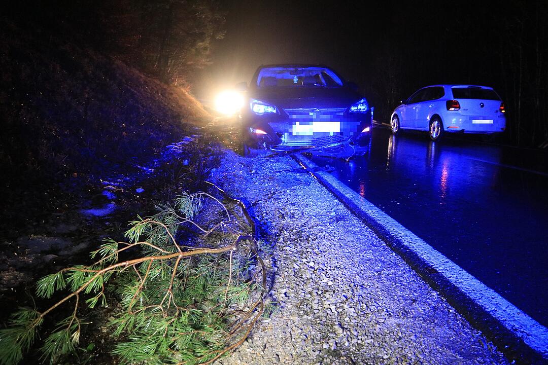 Vorsätzlich angesägt: 18 Meter Stamm liegt plötzlich auf der Straße