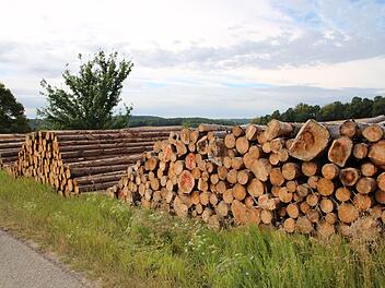 Weil das viele Schadholz kaum verkäuflich ist, muss es zwischengelagert werden. Besser wird es davon allerdings nicht. Foto: Thomas Malz