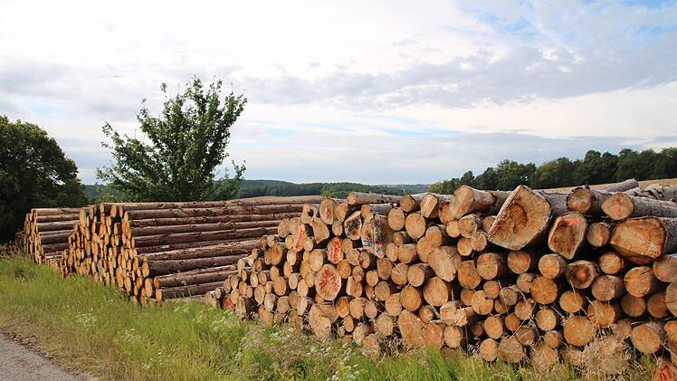 Weil das viele Schadholz kaum verkäuflich ist, muss es zwischengelagert werden. Besser wird es davon allerdings nicht. Foto: Thomas Malz