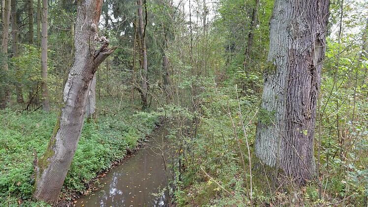 Mitten durch die Muna fließt der Sendelbach. Foto: Ronald Rinklef
