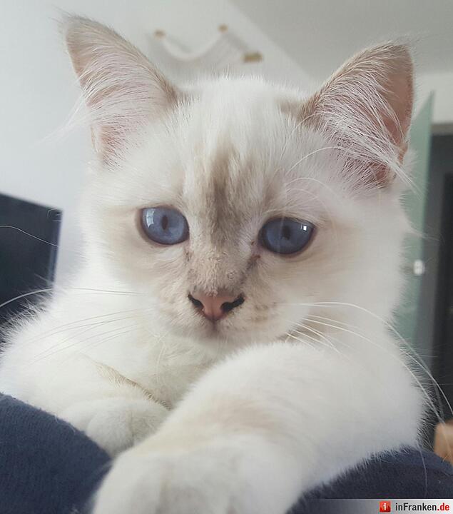 Foto: Christian Schuster