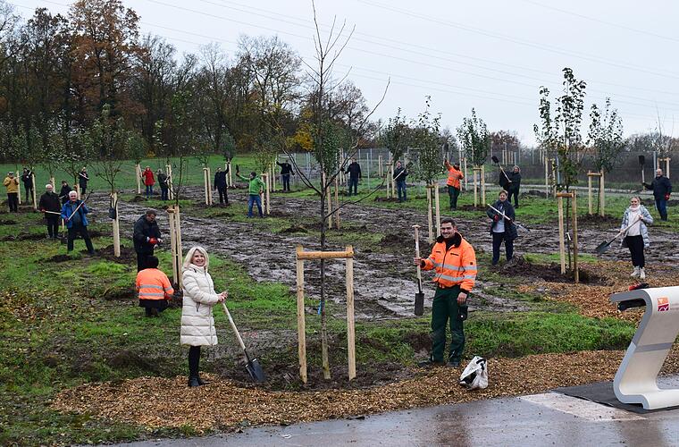 Iphofen: Jubiläumsfeierlichkeiten finden Abschluss - mit Pflanzung von 50 Bäumen