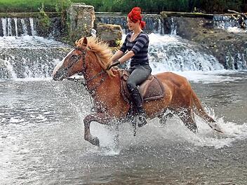 Der Ritt mit dem Pferd durchs flache Wasser lieferte ein überaus dynamisches Bild. Herbert Steiner belegte damit beim Monatswettbewerb der Michelauer Amateurfotografen den ersten Platz.  Foto: Herbert Steiner