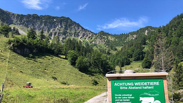 Hinweis zu Weidetieren auf Almen