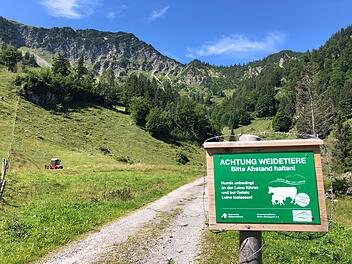 Hinweis zu Weidetieren auf Almen