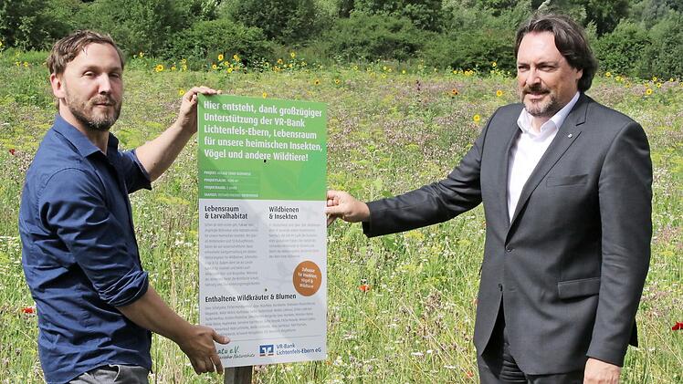 Tobias Wüstefeld (links, Sonatu) und Christian Senff (VR-Bank) vor der Blühwiese am Hattersdorfer Weg
