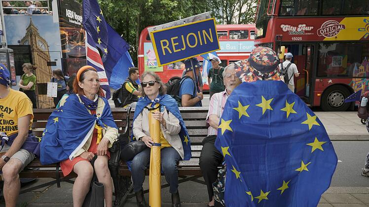 &bdquo;National Rejoin March&ldquo;-Demonstration in London