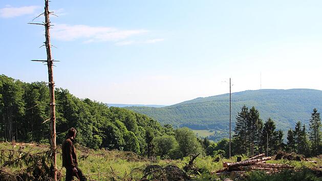 Philipp Bausch blickt über einen Teil des Areals, auf dem derzeit Schäden des Winters und Frühjahrs aufgearbeitet werden. Foto: Johannes Schlereth