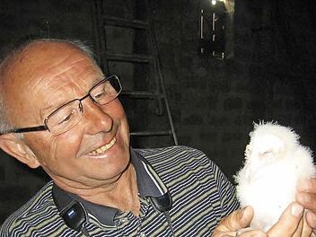 Behutsam hält Günther Eichler eine junge Schleiereule in der Hand. Die Eulen sind momentan mit der Balz beschäftigt. Foto: privat, Archiv