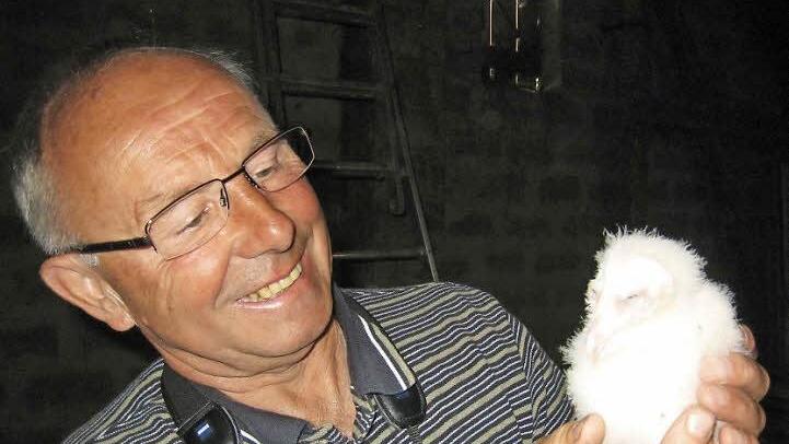 Behutsam hält Günther Eichler eine junge Schleiereule in der Hand. Die Eulen sind momentan mit der Balz beschäftigt. Foto: privat, Archiv