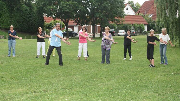 Im Park erlebten Herzogenauracher Qi Gong. Millionen Chinesen treffen sich auch jeden Tag, um dessen heilende Wirkung zu spüren. Foto: D. Weiler