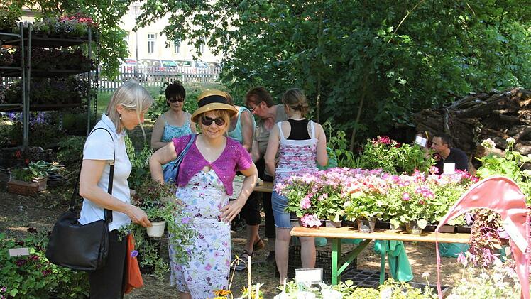 Man könnte meinen, die Dame mit Hut habe ihr Kleid entsprechend den Blumen gewählt. Fotos: Helmut Will