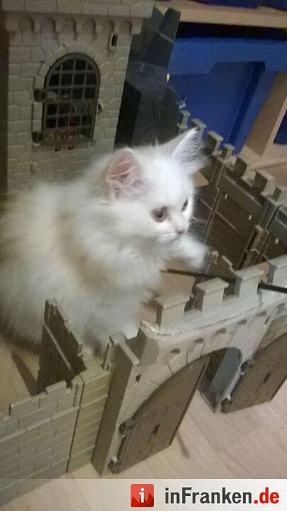 Foto: Katharina Judex