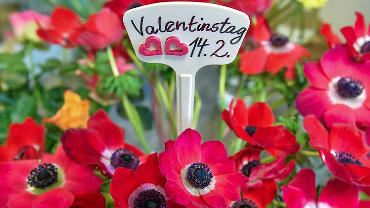 Jedes Jahr am 14.Februar ist Valentinstag - der Tag , an dem  viele Paare sich sagen, wie sehr sie sich lieben. Foto: Patrick Pleul/ dpa