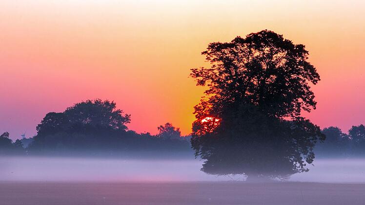 Sonnenaufgang im Morgennebel
