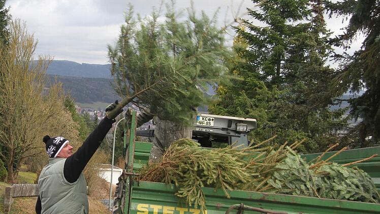 Ganz locker wirft Jens Arnold das Christbäumchen auf den Hänger. Die Bäume wurden am Wochenende beim Knutfest des FC Gehülz verbrannt.