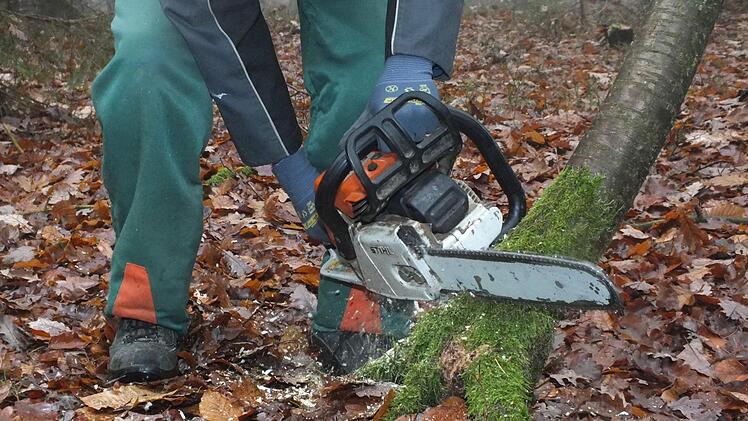Wer kümmert sich um den Wald? Dieser Frage gingen Referenten in einem Vortrag in Burkardroth nach. Björn Hein