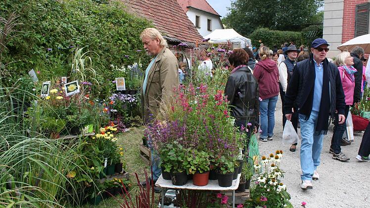 Das Gelände rund um Schloss Weingartsgreuth bot das perfekte Ambiente für die Gartenausstellung. Foto: Evi Seeger