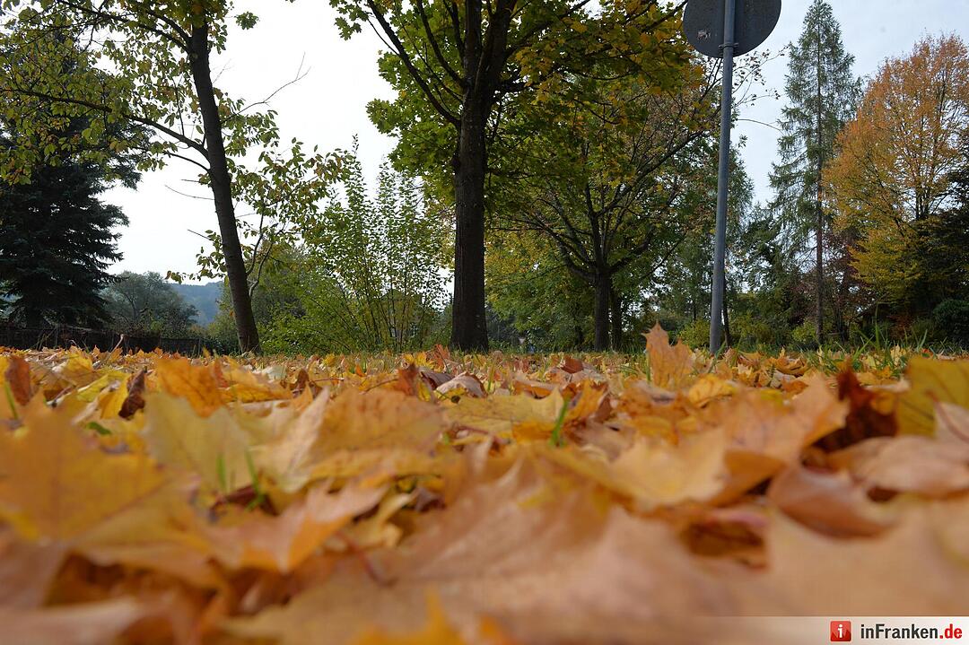 Herbstimpressionen Bamberg
