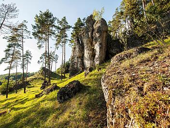 Die Aufnahme zeigt eine malerische Landschaft in der Fr&auml;nkischen Schweiz mit einem markanten Felsen, umgeben von hohen Kiefern und sonnigem Gr&uuml;n, ideal f&uuml;r Wanderungen.