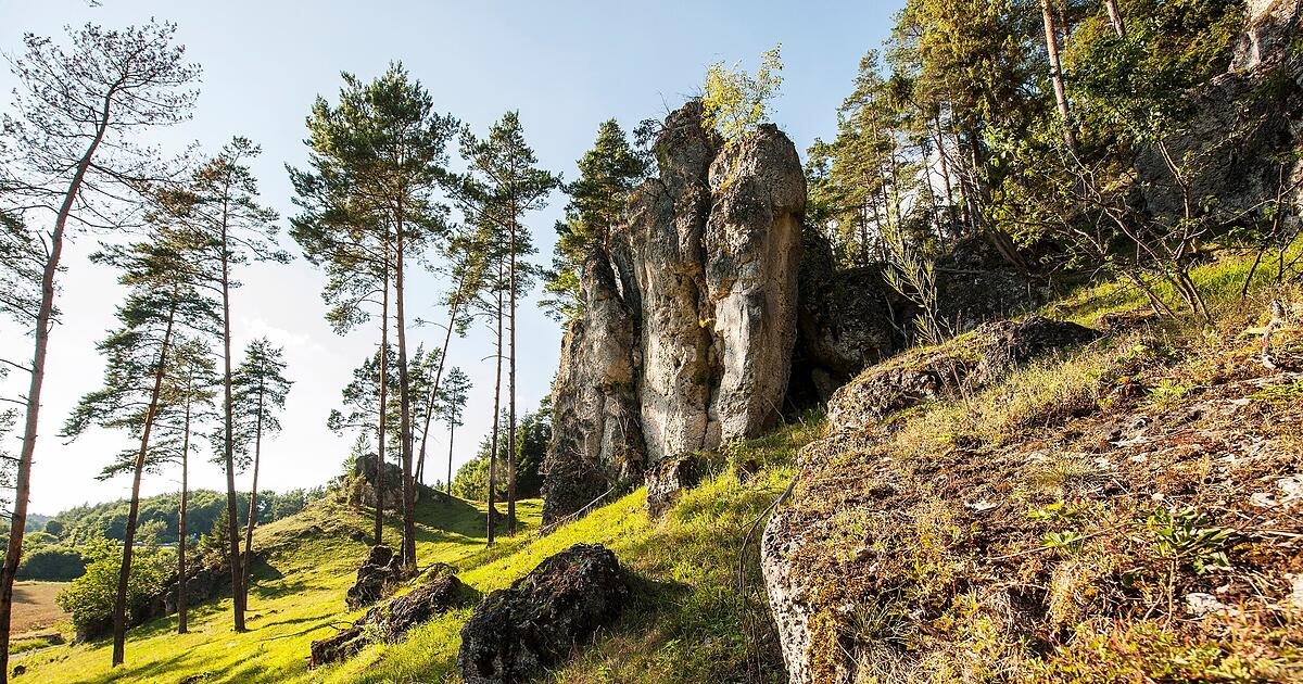 'Kennt ihr das Paradies?': Fränkische Schweiz empfiehlt idyllische Region